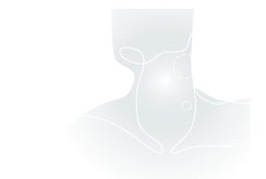 body